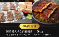 国産特大うなぎ蒲焼き（うな丼用５セット）