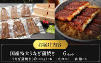 国産特大うなぎ蒲焼き（うな丼用６セット）