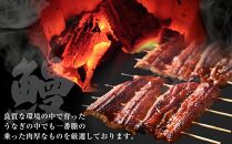 国産特大うなぎ　ひつまぶしセット（６セット）&nbsp;|&nbsp;鰻&nbsp;うなぎ&nbsp;ひつまぶし&nbsp;ひつまぶしセット&nbsp;名物料理&nbsp;国産うなぎ&nbsp;炭火焼き&nbsp;贅沢&nbsp;グルメ&nbsp;人気&nbsp;おすすめ&nbsp;蒲焼き&nbsp;タレ付き&nbsp;ご飯のお供&nbsp;土用丑の日&nbsp;夏ギフト&nbsp;送料無料