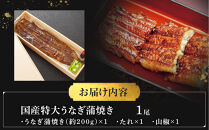 国産特大うなぎ蒲焼き