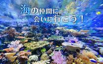 名古屋港水族館入館券（大人入館券）&nbsp;|&nbsp;水族館&nbsp;名古屋水族館&nbsp;チケット&nbsp;入場チケット&nbsp;人気観光スポット&nbsp;水族館&nbsp;海の生き物&nbsp;イルカショー&nbsp;家族旅行&nbsp;デート&nbsp;観光&nbsp;レジャー&nbsp;人気&nbsp;おすすめ&nbsp;子供連れ&nbsp;屋内施設&nbsp;思い出作り&nbsp;送料無料