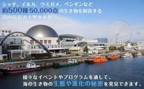 名古屋港水族館（年間パスポート引換券）