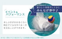 名古屋港水族館（年間パスポート引換券）