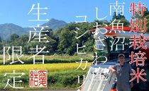 【令和7年産】【定期便4Kg×6ヶ月】【特別栽培米】&nbsp;契約生産者限定&nbsp;&nbsp;南魚沼しおざわ産コシヒカリ