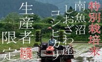 【令和7年産】【定期便4Kg×12ヶ月】【特別栽培米】&nbsp;契約生産者限定&nbsp;&nbsp;南魚沼しおざわ産コシヒカリ