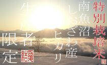 【令和7年産】【定期便4Kg×12ヶ月】【特別栽培米】&nbsp;契約生産者限定&nbsp;&nbsp;南魚沼しおざわ産コシヒカリ