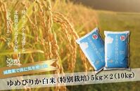 【減農薬で体に気を使った】令和4年産　ゆめぴりか白米5kg×2