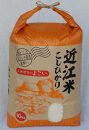 ◆【令和5年産】高島市 安曇川 特別栽培米 近江米 コシヒカリ 10kg