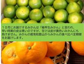 定期便3回コース「厳選和歌山のみかん」10kg【2021年10月以降発送】