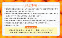 [秀品]有田のブランド「賢みかん」10kg(2Lサイズ)［2026年11月中旬頃より順次発送］