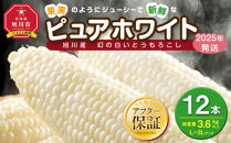 白いとうもろこしピュアホワイト&nbsp;12本&nbsp;3.6kg(2025年8月下旬より発送予定)&nbsp;【&nbsp;人気&nbsp;北海道産&nbsp;糖度&nbsp;生&nbsp;野菜&nbsp;スイートコーン&nbsp;産地直送&nbsp;バーベキュー&nbsp;BBQ&nbsp;コーン&nbsp;旬&nbsp;お取り寄せ&nbsp;旭川市&nbsp;北海道&nbsp;送料無料&nbsp;】_00407