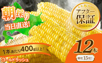 ◆ふるさとチョイス限定◆【先行予約】黄金色で大粒&nbsp;ゴールドラッシュ&nbsp;12本&nbsp;4.8kg&nbsp;(2026年8月下旬より発送予定)&nbsp;【&nbsp;人気&nbsp;北海道産&nbsp;糖度&nbsp;生&nbsp;野菜&nbsp;スイートコーン&nbsp;産地直送&nbsp;バーベキュー&nbsp;BBQ&nbsp;コーン&nbsp;旬&nbsp;お取り寄せ&nbsp;旭川市&nbsp;北海道&nbsp;送料無料&nbsp;】_00408