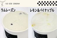 アイス アイスクリーム セット 8個 ( 6種 ) UD ICE CREAM 沖縄素材をアイスに使用