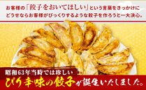 【ラーメン横綱】横綱の餃子はニンニク不使用!&nbsp;ぴり辛餃子＆黒豚餃子10パックセット(各5パック)［&nbsp;京都&nbsp;ラーメン&nbsp;有名店&nbsp;餃子120個セット&nbsp;黒豚＋ピリ辛&nbsp;冷凍食品&nbsp;大容量&nbsp;おいしい&nbsp;簡単&nbsp;便利&nbsp;人気&nbsp;おすすめ&nbsp;中華&nbsp;中華料理&nbsp;ぎょうざ&nbsp;餃子&nbsp;お取り寄せ&nbsp;通販&nbsp;送料無料&nbsp;ふるさと納税&nbsp;］