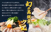 長崎県産くえ鍋セット クエ切身 計600g（300g×2）ポン酢・昆布付き【ポイント交換専用】