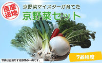 先行予約【京やさい佐伯】京野菜セット&nbsp;＜数量限定＞［&nbsp;京都&nbsp;直売所&nbsp;直送&nbsp;京野菜&nbsp;野菜&nbsp;新鮮&nbsp;旬&nbsp;人気&nbsp;おすすめ&nbsp;美味しい&nbsp;人気&nbsp;お取り寄せ&nbsp;通販&nbsp;送料無料&nbsp;ふるさと納税&nbsp;］