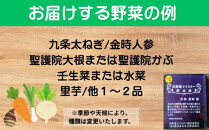 先行予約【京やさい佐伯】京野菜セット&nbsp;＜数量限定＞［&nbsp;京都&nbsp;直売所&nbsp;直送&nbsp;京野菜&nbsp;野菜&nbsp;新鮮&nbsp;旬&nbsp;人気&nbsp;おすすめ&nbsp;美味しい&nbsp;人気&nbsp;お取り寄せ&nbsp;通販&nbsp;送料無料&nbsp;ふるさと納税&nbsp;］
