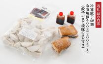 自家製冷凍黒豚餃子と冷凍焼豚のセット(冷凍餃子48 個 冷凍焼豚 400 ｇ)