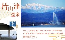 【加賀市】日本旅行　地域限定旅行クーポン（300,000円分）
