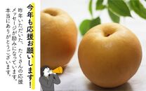 新興梨 3kg 大玉でシャキっとした食感！《大人気返礼品！高校生 応援！》 / 果物 フルーツ 梨 なし 新興 3キロ 人気 おすすめ 数量限定