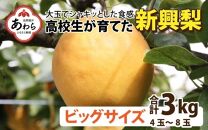 【先行予約】＜2024年9月下旬より順次発送＞新興梨 3kg 大玉でシャキっとした食感！《大人気返礼品！高校生 応援！》 / 果物 フルーツ 梨 なし 新興 3キロ 人気 おすすめ 数量限定