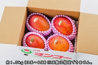 【2022年発送】＜訳あり・ご家庭用＞完熟アップルマンゴー約1.5kg（白箱）3玉～6玉