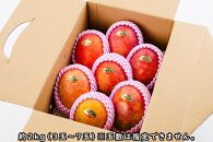 【2022年発送】＜訳あり・ご家庭用＞完熟アップルマンゴー約2kg（白箱）3玉～7玉