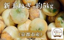 【虹色Farm】【先行予約/2024年5月発送】新玉ねぎ 約5kg