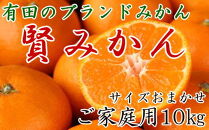 有田のブランド「賢みかん」10kg(S～Lサイズおまかせ）ご家庭用【2024年11月中旬頃より順次発送】