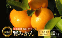 有田のブランド「賢みかん」10kg(S～Lサイズおまかせ）ご家庭用［2026年11月中旬頃より順次発送］
