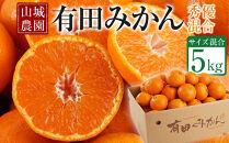 【高評価】山城農園&nbsp;和歌山県産&nbsp;有田みかん&nbsp;5kg&nbsp;甘くて濃厚！混サイズ&nbsp;農園直送&nbsp;&nbsp;人気No.1&nbsp;口コミ多数！