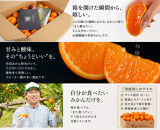 【高評価】山城農園&nbsp;和歌山県産&nbsp;有田みかん&nbsp;5kg&nbsp;甘くて濃厚！混サイズ&nbsp;農園直送&nbsp;&nbsp;人気No.1&nbsp;口コミ多数！｜【みかん&nbsp;ミカン&nbsp;みかん&nbsp;mikan&nbsp;みかん&nbsp;ミカン&nbsp;みかん&nbsp;ミカン&nbsp;みかん&nbsp;ミカン&nbsp;みかん&nbsp;ミカン&nbsp;みかん&nbsp;ミカン】
