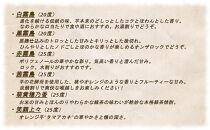 一酔千日!都城の本格焼酎6本セット