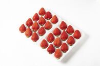 【12月中旬以降出荷予定】完熟&nbsp;あまおう&nbsp;イチゴ&nbsp;350g×2パック(約700g)＜配送不可：北海道、沖縄県、離島＞