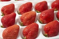 【12月中旬以降出荷予定】完熟&nbsp;あまおう&nbsp;イチゴ&nbsp;350g×2パック(約700g)＜配送不可：北海道、沖縄県、離島＞