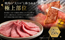 【冷蔵便】神戸牛&nbsp;焼肉　モモ＆カルビ&nbsp;500g