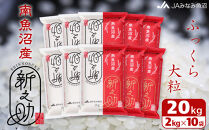 【令和7年産】南魚沼産新之助 精米 2kg×10袋 精米HACCP認定工場 高品質精米 大粒 もっちり