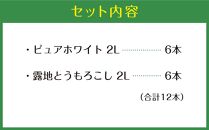 【先行予約】北海道産ピュアホワイト・露地とうもろこし　計12本 2024年8月下旬から発送開始予定_00113