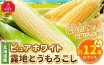 【先行予約】北海道産ピュアホワイト・露地とうもろこし　計12本 2025年8月下旬から発送開始予定 【 白いとうもろこし 人気 北海道産 糖度 生 野菜 スイートコーン 産地直送 バーベキュー BBQ コーン 旬 お取り寄せ 旭川市 北海道 送料無料 】_00113