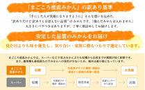 みかん&nbsp;極早生みかん&nbsp;訳あり&nbsp;6.5kg&nbsp;大小混合&nbsp;まごころ産直みかん【2025年10月上旬頃から2025年11月上旬頃まで順次発送予定】温州みかん&nbsp;和歌山みかん&nbsp;下津みかん&nbsp;訳有り&nbsp;わけあり&nbsp;和歌山県産&nbsp;産地直送［Mg2］