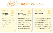 みかん&nbsp;極早生みかん&nbsp;訳あり&nbsp;6.5kg&nbsp;大小混合&nbsp;まごころ産直みかん【2025年10月上旬頃から2025年11月上旬頃まで順次発送予定】温州みかん&nbsp;和歌山みかん&nbsp;下津みかん&nbsp;訳有り&nbsp;わけあり&nbsp;和歌山県産&nbsp;産地直送［Mg2］