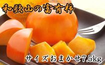 [甘柿の王様]和歌山産富有柿約7.5kgサイズおまかせ