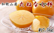 和歌山産たねなし柿（M～2Lサイズおまかせ）約7.5kg
