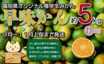 【先行受付】２０２３年の秋に配送！福岡県オリジナル品種極早生みかん『早味かん』約５kg