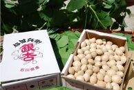 【復興支援】奥能登産 銀杏 (殻付き) サイズ：大 1.0kg