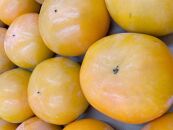 内子町産 富有柿(L~3L) 約5kg【フルーツ 果物 くだもの 食品 人気 おすすめ 送料無料】