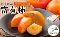内子町産 富有柿(L~3L) 約5kg【フルーツ 果物 くだもの 食品 人気 おすすめ 送料無料】