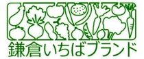 【６ヶ月連続毎月届く定期便】「鎌倉いちばブランド」新鮮お野菜詰め合わせセット