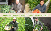 【3ヶ月毎計4回 定期便】四季を味わえる「鎌倉いちばブランド」新鮮お野菜詰め合わせセット