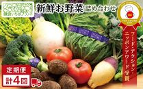 【3ヶ月毎計4回 定期便】四季を味わえる「鎌倉いちばブランド」新鮮お野菜詰め合わせセット